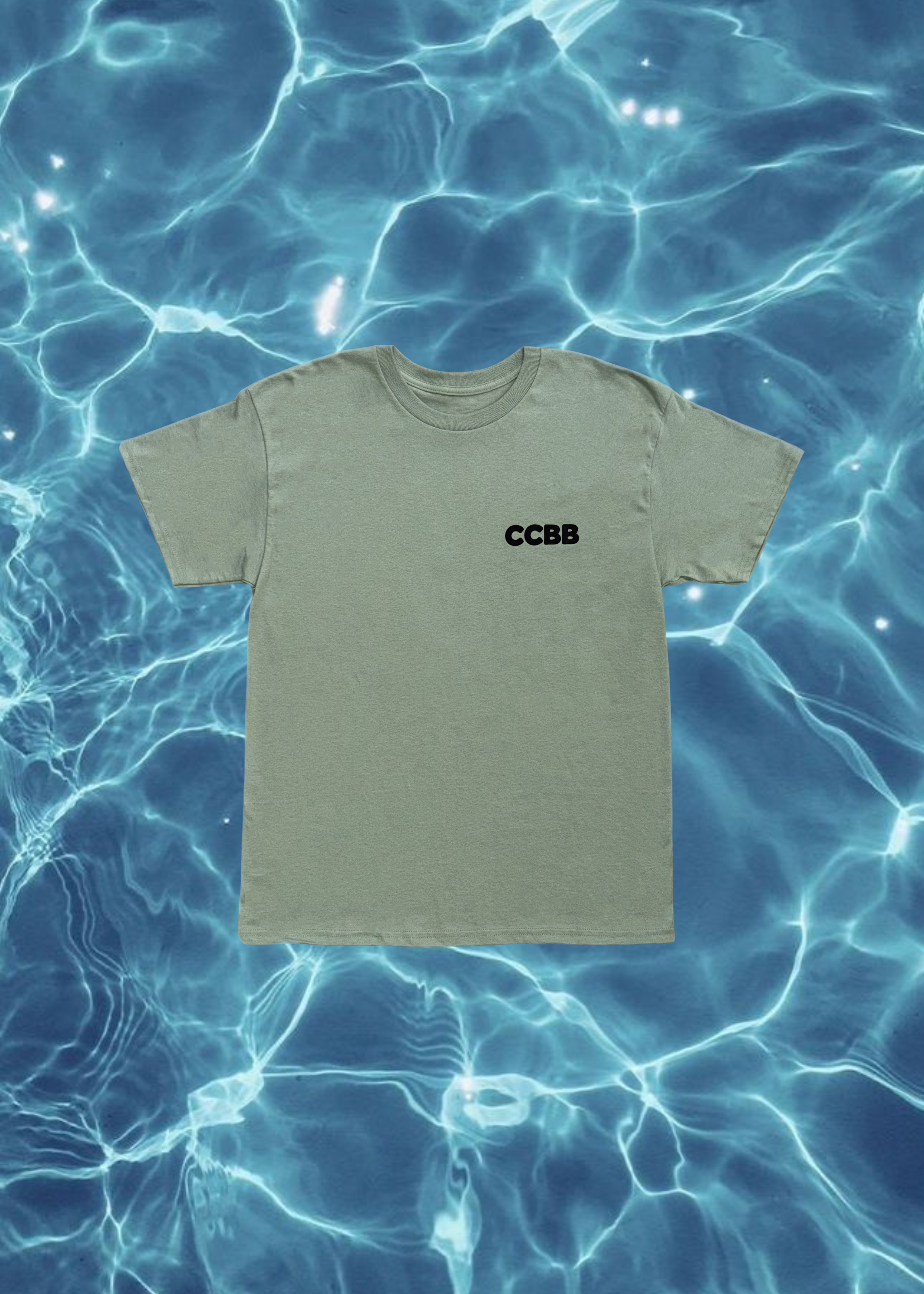 Struggling Boarder T-Shirt