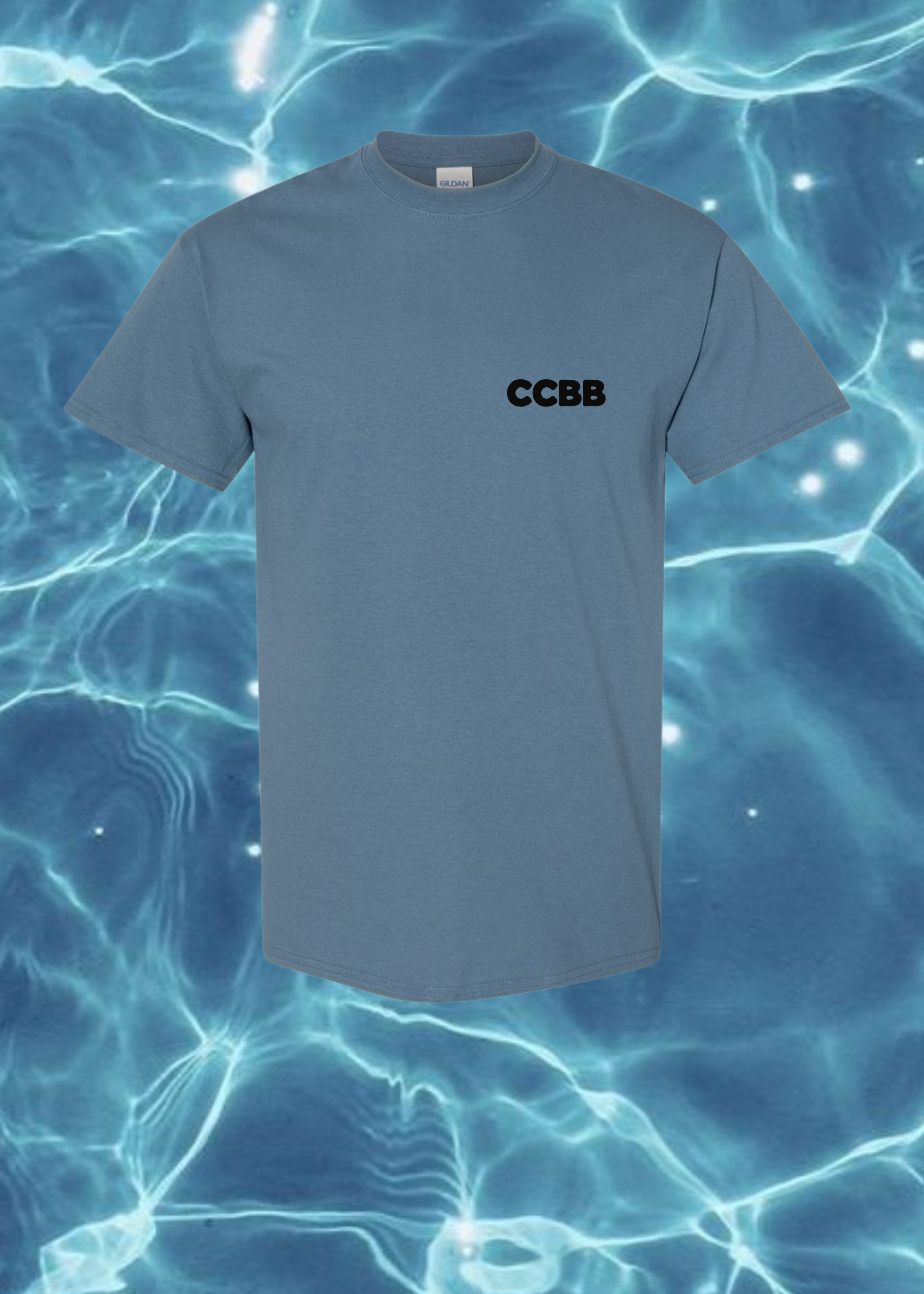 Struggling Boarder T-Shirt