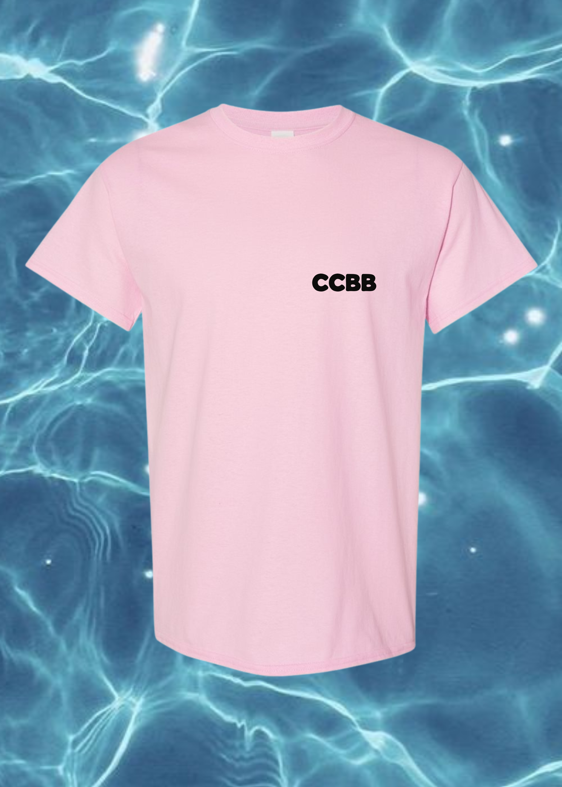 Struggling Boarder T-Shirt