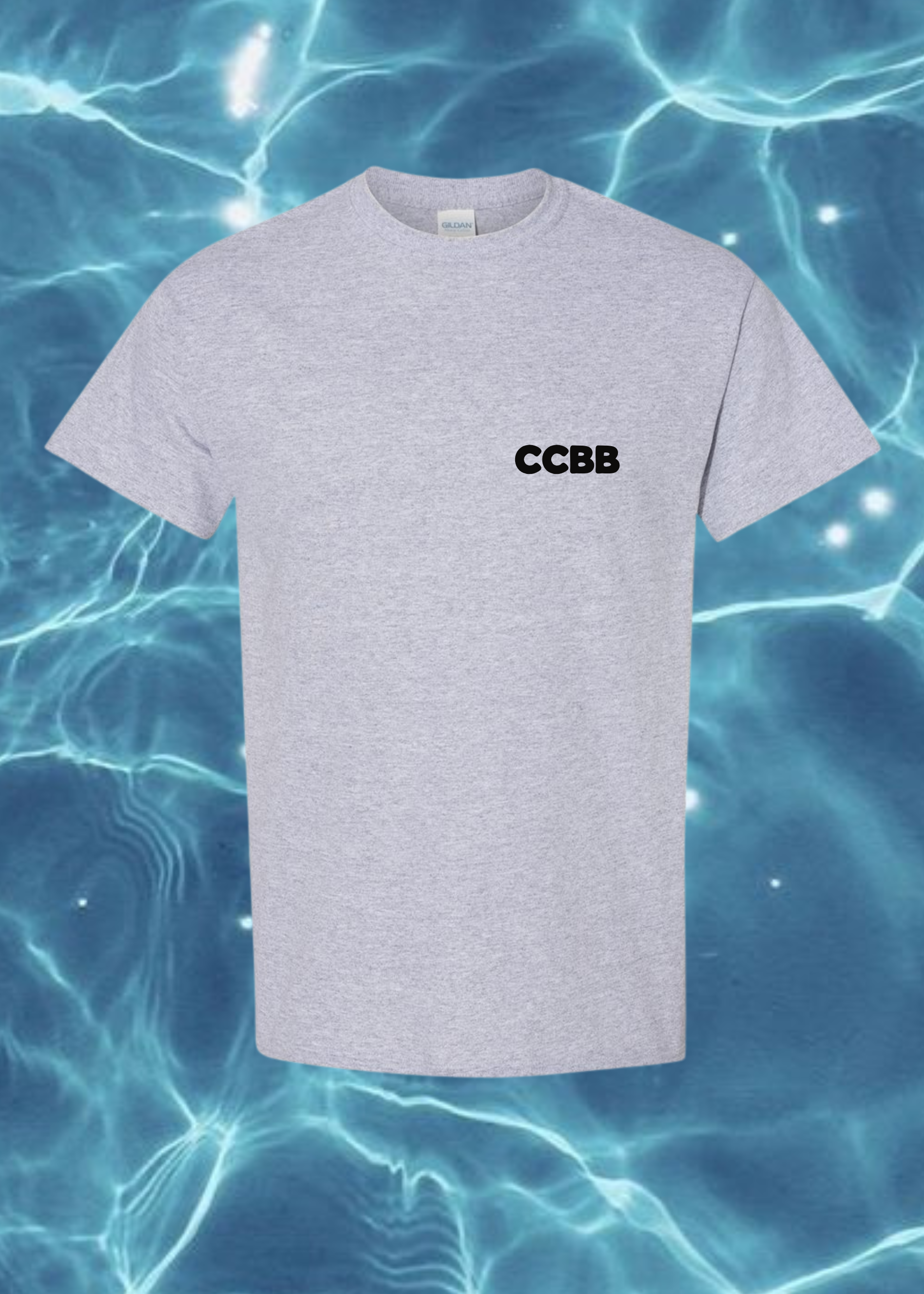 Struggling Boarder T-Shirt